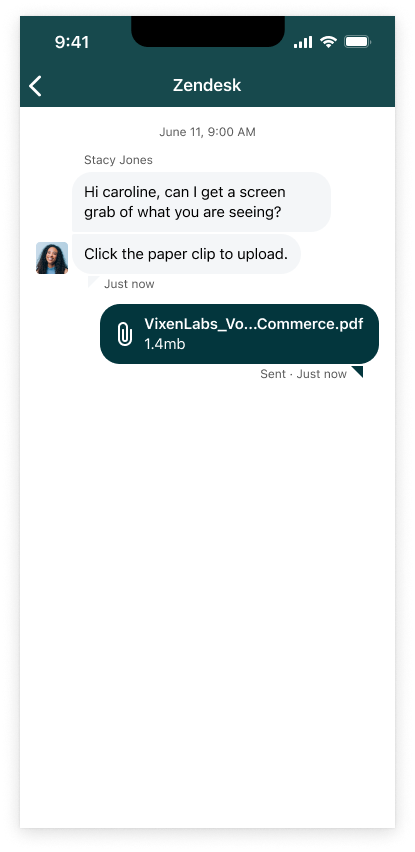 File type in iOS