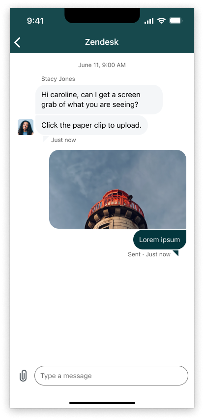 Image type in iOS